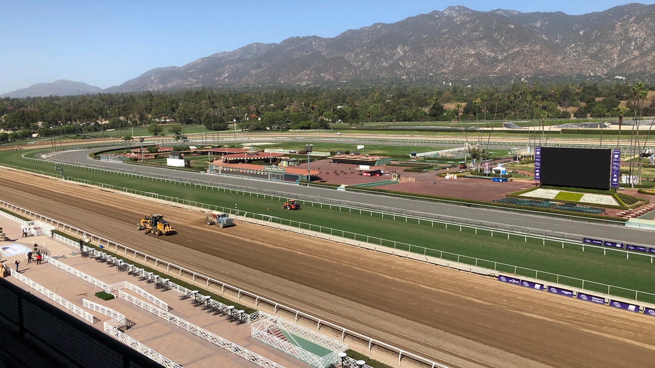 Horse racing's tragic, wild ride culminates at Breeders' Cup